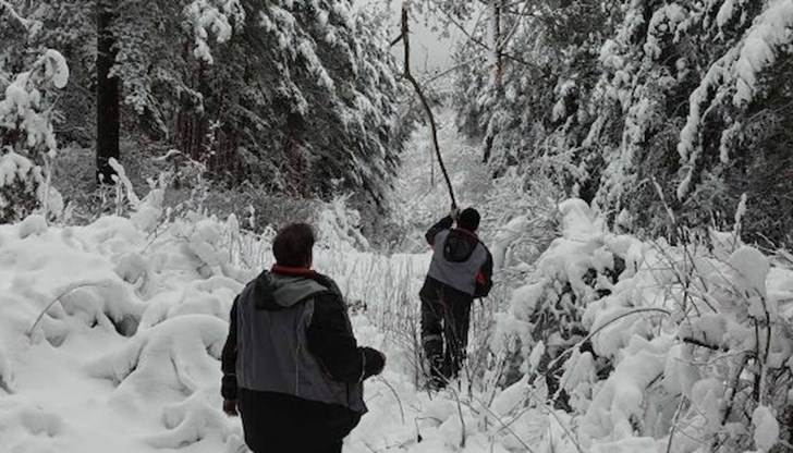 Снежната покривка непрекъснато нараства, къса проводници, събаря дървета и чупи стълбове