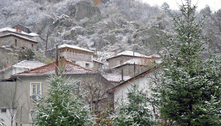 На трапезата неизменно присъства Коледицата На трапезата неизменно присъства Коледицата