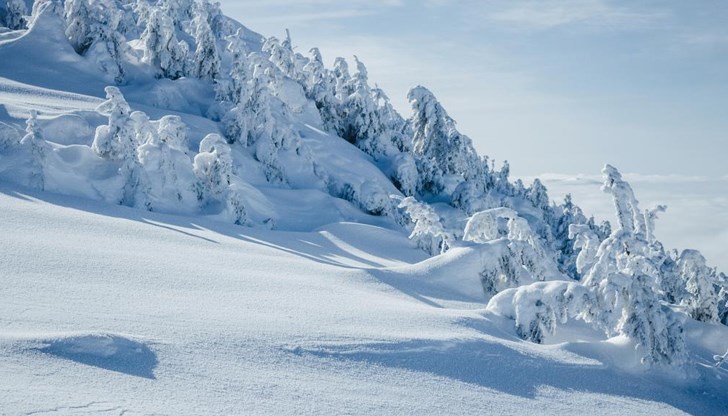 За това предупредиха от ПСС За това предупредиха от ПСС