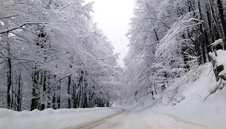 На прохода “Шипка” и на Прохода на Републиката вали сняг