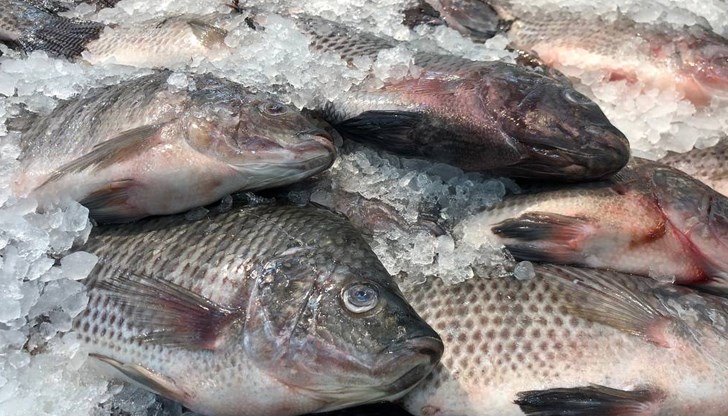 Прясната риба има характерен аромат на море или река, без дъх на кисело или на гнило