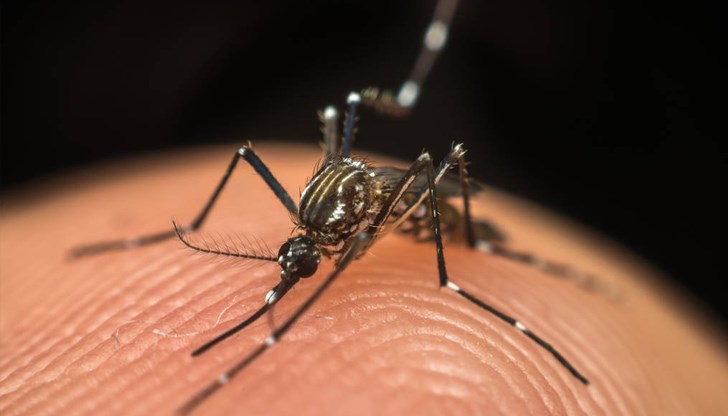 Вирусът се пренася от комари