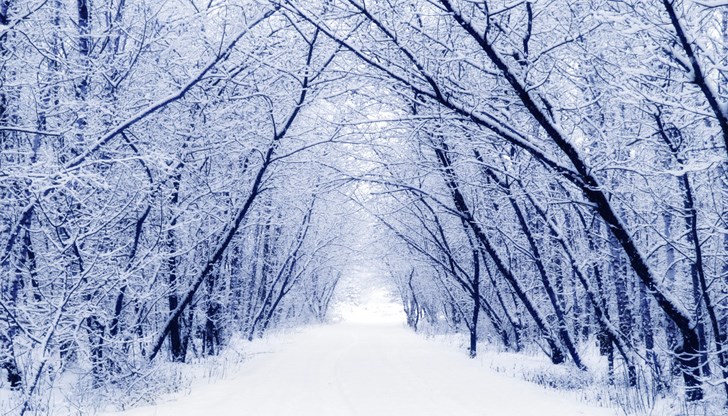 Средният брой на мрачните дни през декември в България е от девет до 14