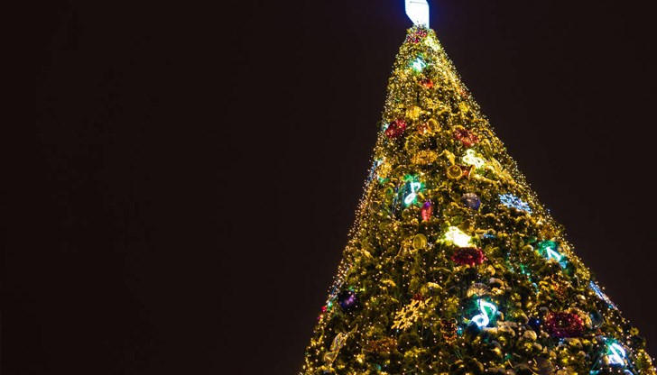 20-метровото дърво е рухнало до коледния базар в град Ауденарде