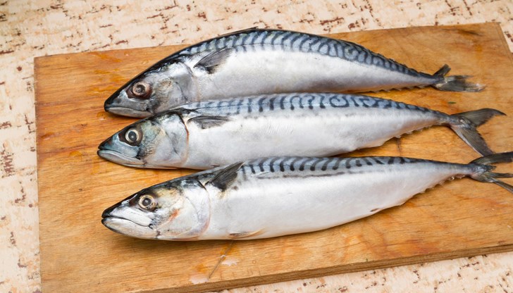 Скумрията - освен вкусна, и много полезна