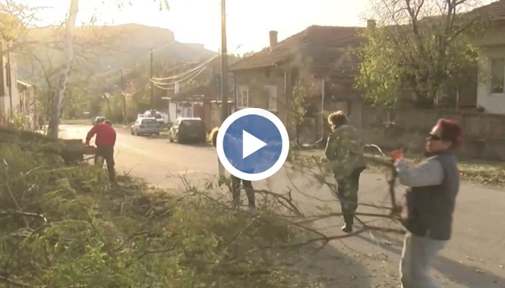 Хората от селото се включиха в доброволната акция по почистването на паднали дървета, клони и скъсани жици