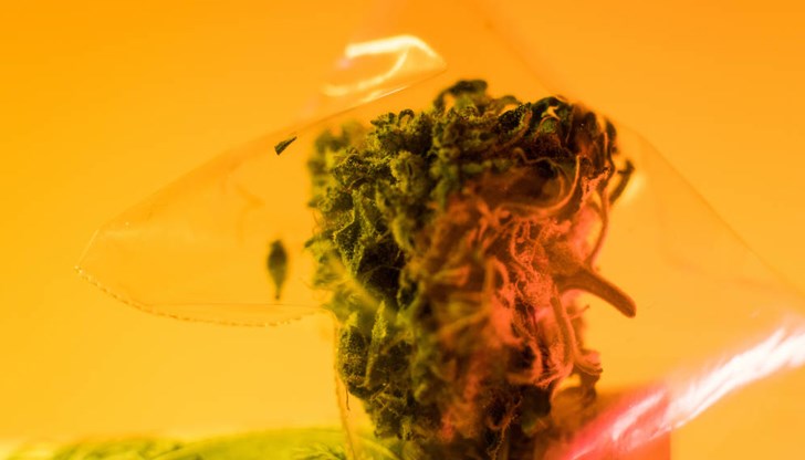 21-годишният русенец носел в джоба си плик с марихуана 21-годишният русенец носел в джоба си плик с марихуана