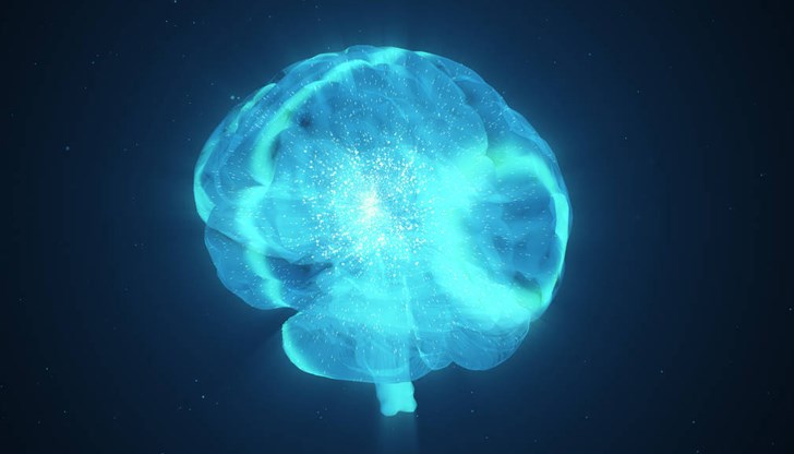 Това показва ново научно изследване