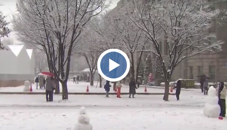 Над 10 сантиметра бе снежната покривка в южнокорейската столица