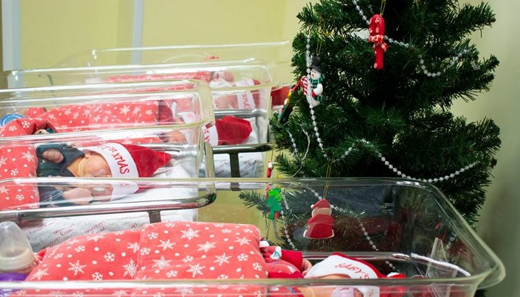 Новородените са облечени в коледна премяна в очакване на Добрия старец