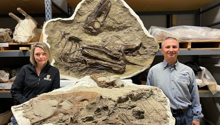 Откритието показва, че младите екземпляри са се хранили с малки животни Откритието показва, че младите екземпляри са се хранили с малки животни