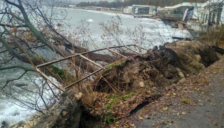 Алеята е проходима, но е поставена обезопасителна лента