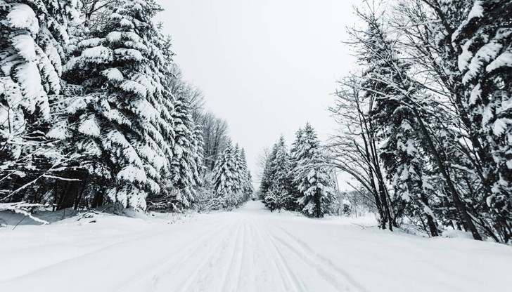 Зимните курорти ще се напомпат със сняг в петък и събота, каза проф. Георги Рачев
