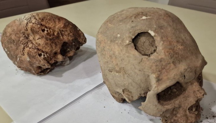 До момента са открити 7 скелета, четири от тях са с издължени черепи