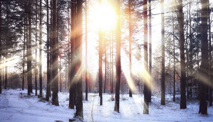 В Русе максималните температури ще достигнат 18 градуса В Русе максималните температури ще достигнат 18 градуса