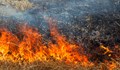Горяха сухи треви в квартал "Средна кула"