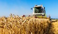 Зърнопроизводители: Секторът от години е в колапс