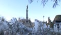 След ледената прегръдка: Растителността в центъра на Русе няма да пострада