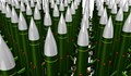 САЩ планират да разположат ядрени оръжия във Великобритания
