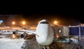 Обилен снеговалеж затвори летището в Брюксел
