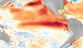 Световният океан бележи температурен рекорд за пета поредна година