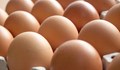 Продават ли се още украински яйца като български?