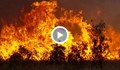 Стотици пожарникари се борят с огнен ад в Австралия