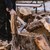 Полицаи откриха незаконни дърва в частни имоти във Ветово