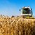 Зърнопроизводители: Секторът от години е в колапс