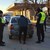 Спецоперация на полиция и жандармерия в Сливенско