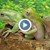 Стресирани отровни жаби спаси полицията в Колумбия