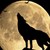 Вълча луна ще наблюдаваме на 25 януари