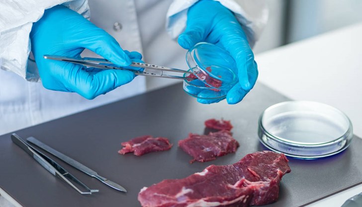 Агенцията по храните излезе с предупреждение след случай на заразяване с трихинелоза във Велинградско