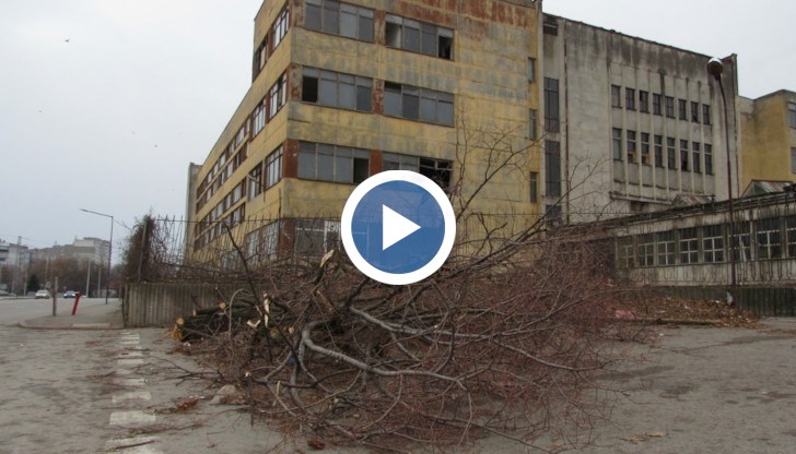 Не е ясно кога ще започне самото събаряне на сградите, които бяха закупени от „София Франс Ауто“ след търг