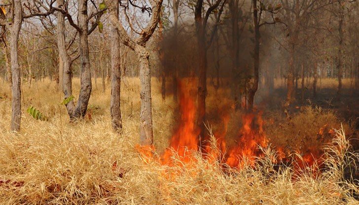 Горещото време в събота повишава риска от пожари в храсталаците