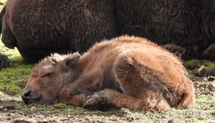 Това е станало на 18 януари