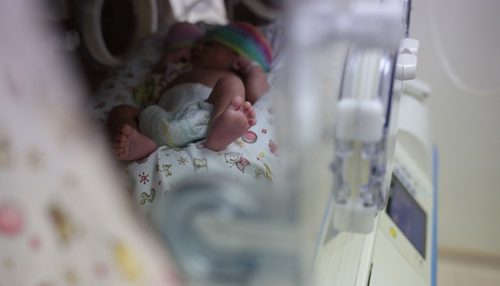 Детето е кръстено Зоя Детето е кръстено Зоя