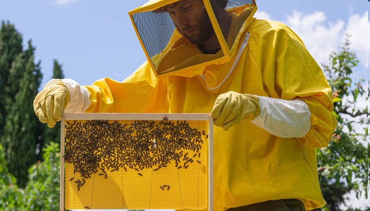 Новият модел на обучение има за цел да предостави възможност на всеки да се превърне в истински пчелар