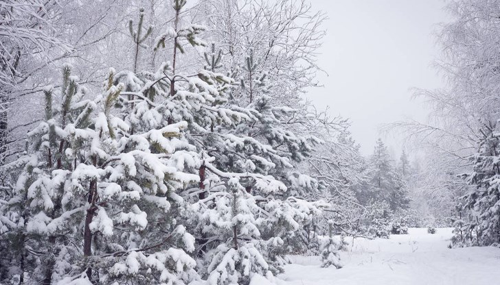 Преобладаващите максимални температури ще са 8° - 13°