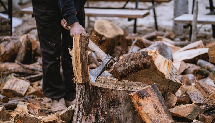 Дървата за огрев били без контролна горска марка и превозен билет