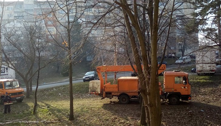 Премахване на опасни дървета спира движението по улицата в квартал "Дружба" 3 на 11 януари