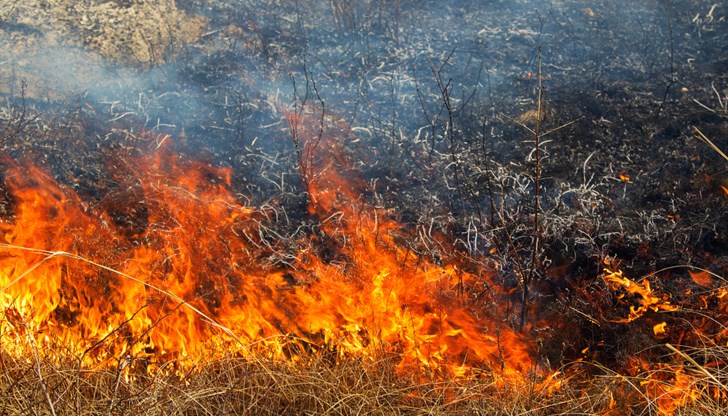 Пожарът е потушен без щети Пожарът е потушен без щети