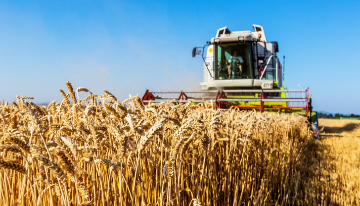 Всяка следваща година кризата в зърнопроизводството става все по-остра, заявиха от Националната асоциация на зърнопроизводителите
