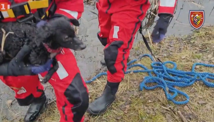 Инцидентът е станал в област Орлова Инцидентът е станал в област Орлова