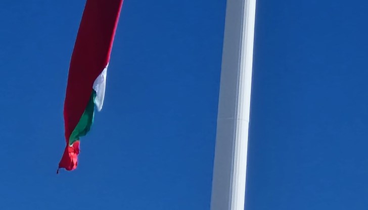 Фондация "Наследство в бъдещето": Огромният трибагреник ще бъде подменен Фондация "Наследство в бъдещето": Огромният трибагреник ще бъде подменен