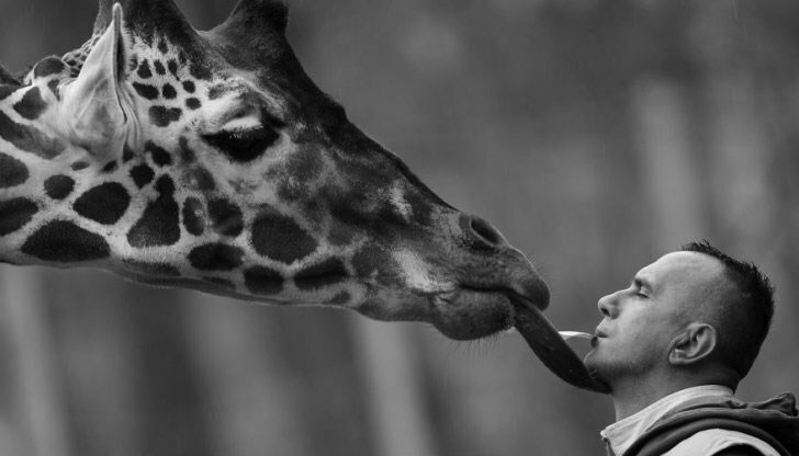 Все още не е известна причината за смъртта на Ристе Трайковски Все още не е известна причината за смъртта на Ристе Трайковски