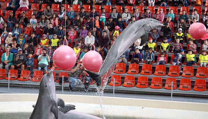 Те ще се състоят от 12:00 и от 15:30 часа по време на междусрочната ваканция Те ще се състоят от 12:00 и от 15:30 часа по време на междусрочната ваканция