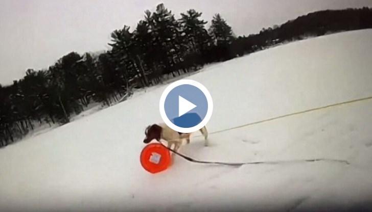 Историята е от САЩ