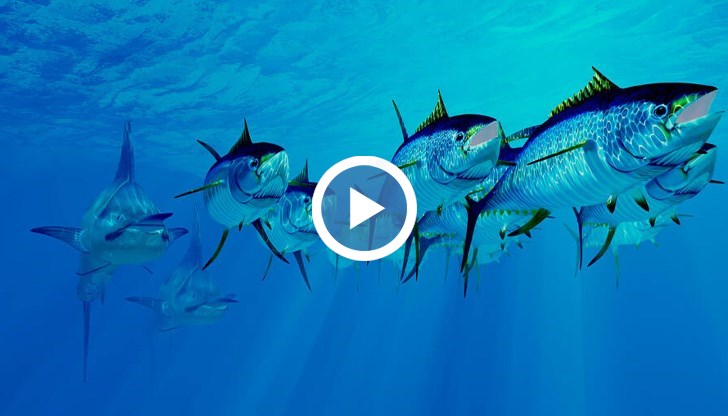 Аукционът е традиция в Япония в началото на годината