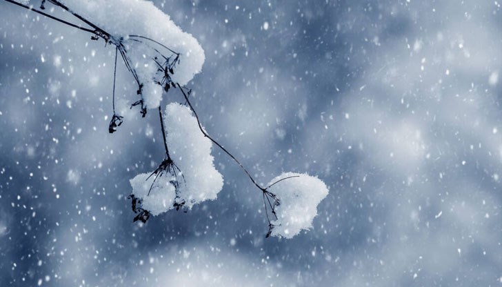 Около средата на седмицата студът леко ще отпусне